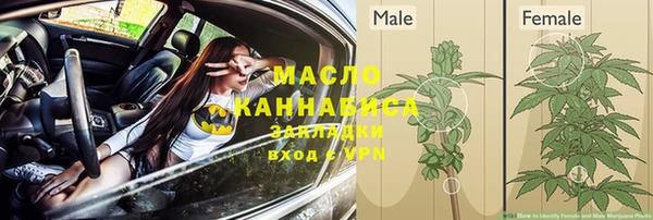 гашик Нефтекумск