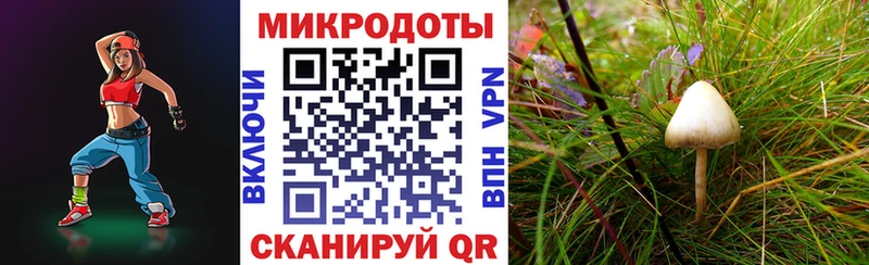 Купить где  Харабали  Галлюциногенные грибы MAGIC MUSHROOMS 